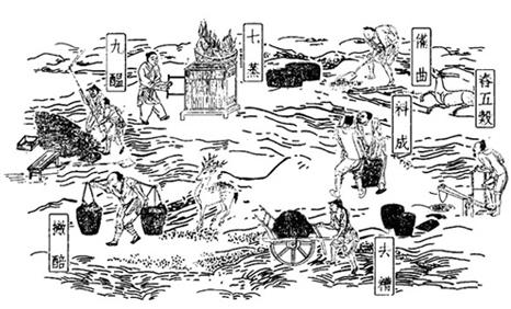 产品选用优质高粱为原料,以麸曲为糖化发酵剂,采用老五甑发酵法,混蒸