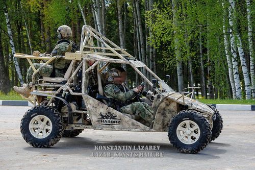 外表蠢萌火力强悍,中国"山猫"全地形车超牛的