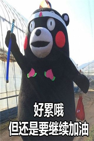 可爱熊本熊之"好累哦"表情包手机壁纸图集