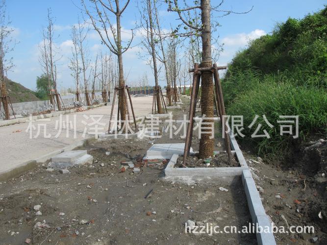 供应仿花岗岩园林小品水泥树围树穴树框