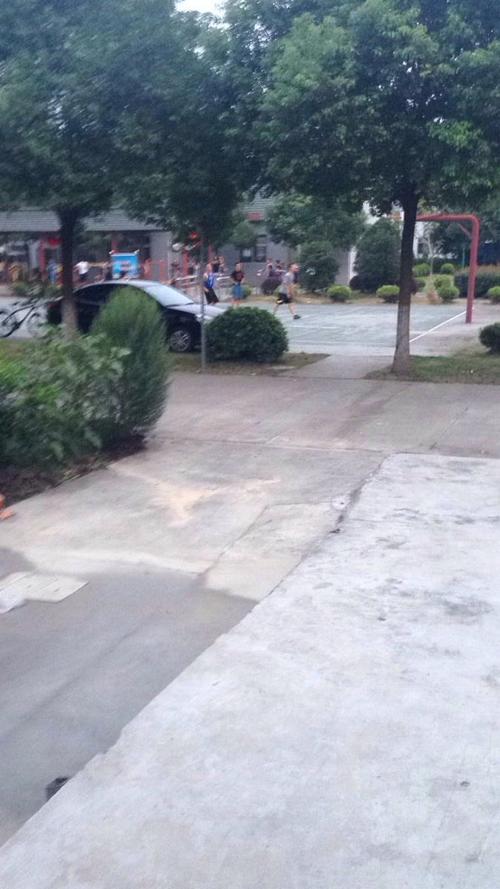 亭林镇旅游景点攻略图