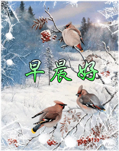 周五早安冬天热乎乎的祝福语,唯美甜蜜,传递美丽心情