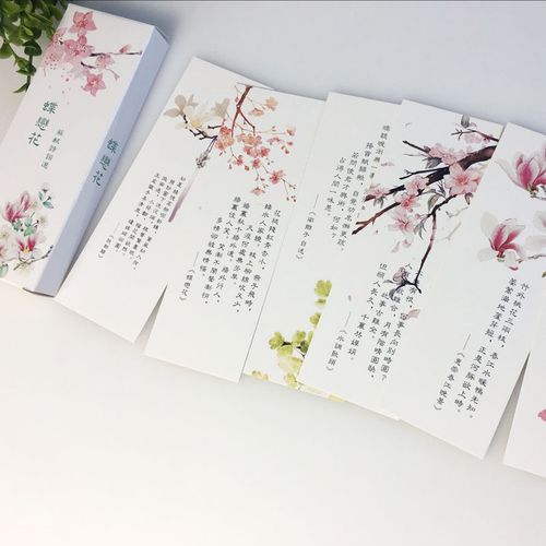 片中国风盒装苏轼纸质创意古风古典诗词