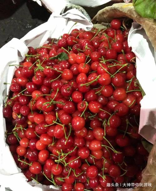 暴雨夜扫荡菜园坝水果市场,十几块一斤的樱桃好看又好吃
