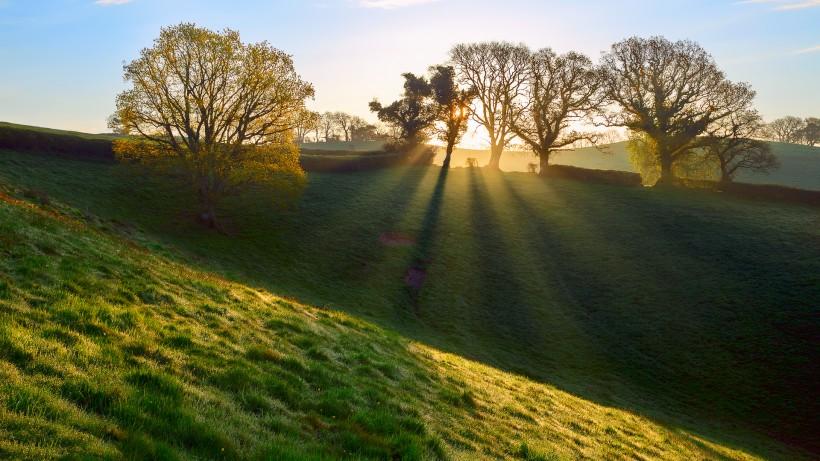 清晨第一缕阳光图片第1张