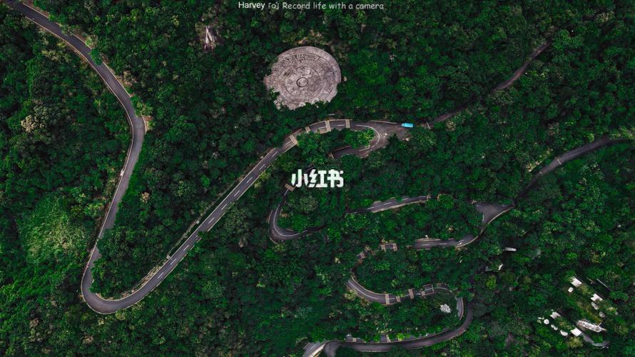 深圳秋名山6172_景点_三洲田大桥攻略_出行_人文