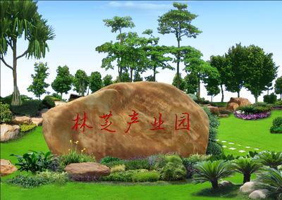 景盛广东黄蜡石产地供应大型公园文化招牌石刻字英德奇石观赏石