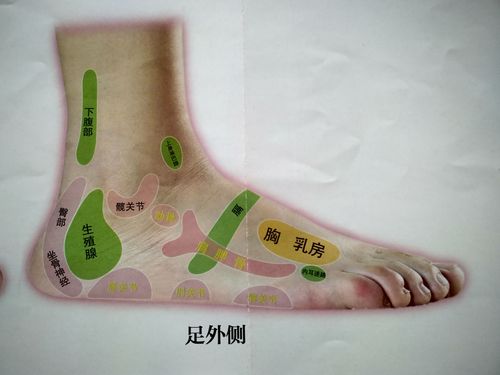 足外侧