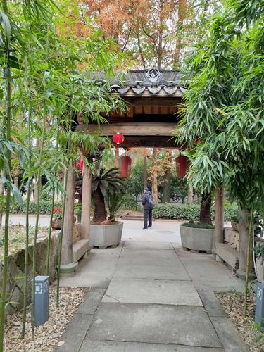 春天(老何)的美篇永康市大陈村农家乐五日游