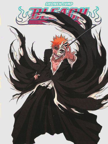 死神黑崎一护超帅变身特辑壁纸