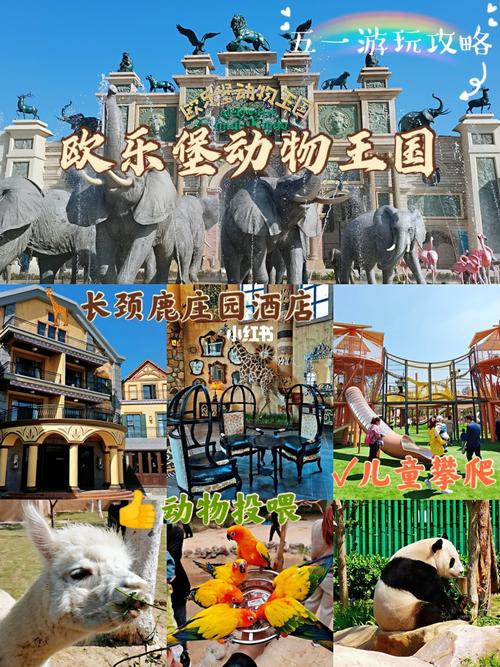 五一游玩推荐遛娃新宝地欧乐堡动物王国
