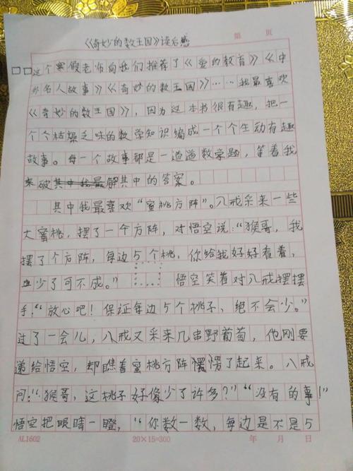 《奇妙的数王国读后感》张琛奥
