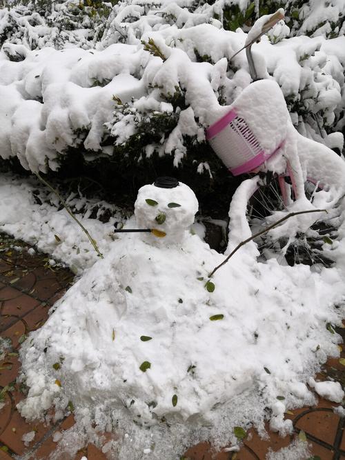 2022年的第一场雪北京