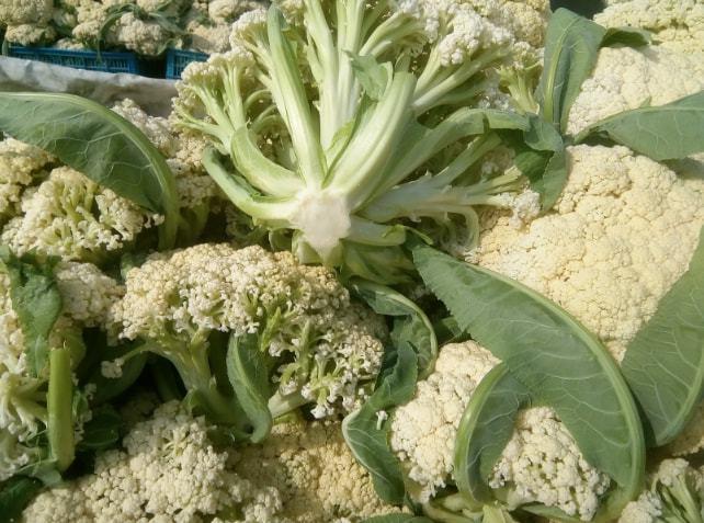 买花菜时松散型和紧实型哪种好菜农告诉你区别别再买错了