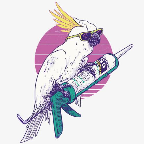 关键词 : 鹦鹉,针筒,白鹦鹉,金刚鹦鹉,手绘,卡通,复古