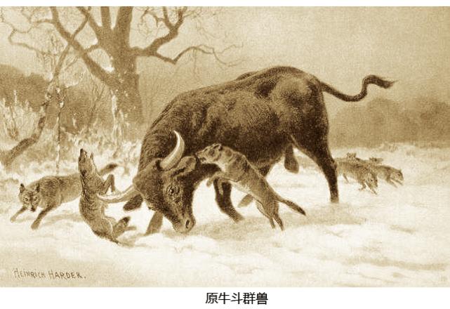 浅谈牛图腾在华夏始祖起源文化中的意义|牛图腾|炎帝