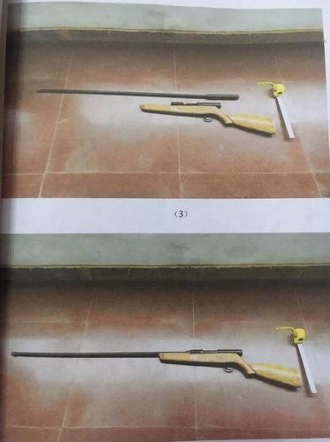 江西抚州:男子自制枪支去打野兔,获刑1年