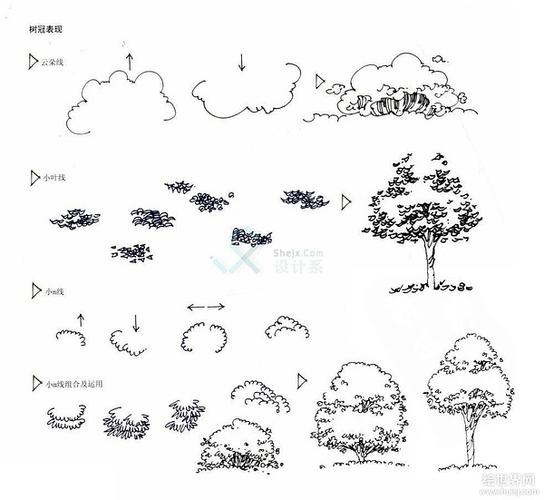 转:各类植物速写 - 乔木 灌木 草本等