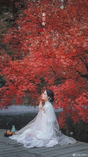 东篱把酒黄昏后,有暗香盈袖.