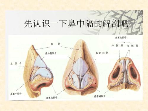 鼻中隔偏曲病人的护理ppt