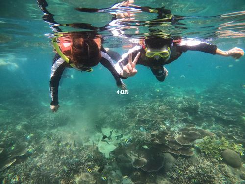 加井岛_浮潜_万宁怎么样_海南_旅游攻略_潜水_跟拍
