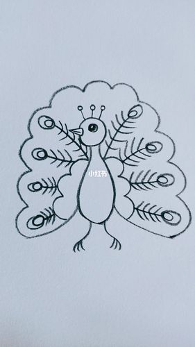 简笔画孔雀_简笔画_简笔画教程_知识_艺术