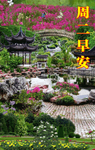 唯有花露伴晨光 举目间有祝福流淌 心中情谊激荡 愿您一生无忧 快乐