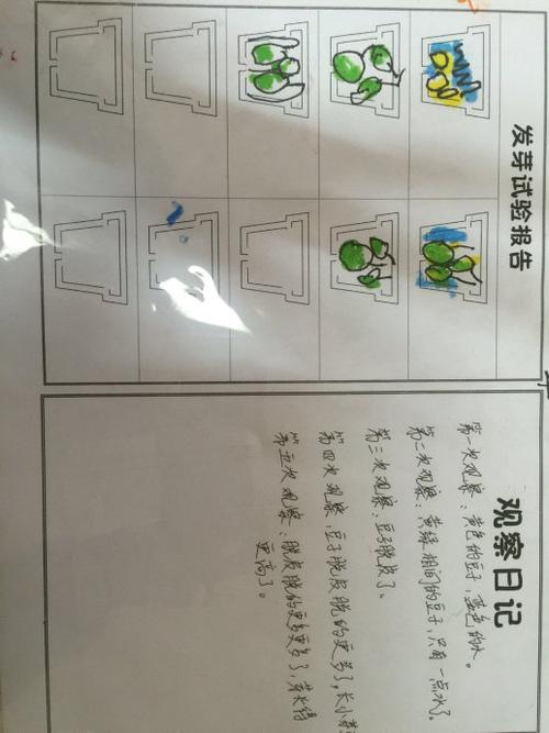 观察记录