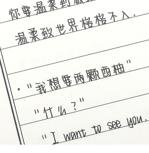 昭亭轩挽鸢体手写字帖女生字体漂亮练字楷书行楷行书男生硬笔书法