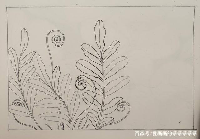 太简单啦,两个步骤就可以画好蕨类植物黑白线描装饰画