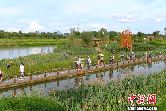 海外华媒探访南宁海绵城市建设:纳污河变高颜值湿地公园