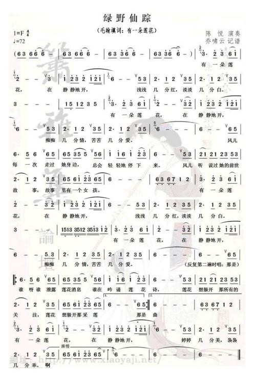 绿野仙踪有一朵莲花歌词毛翰填词