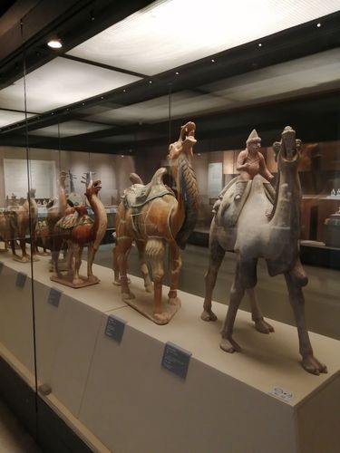 西安——大唐西市博物馆