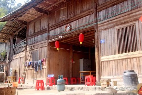 棕树,山旅游区