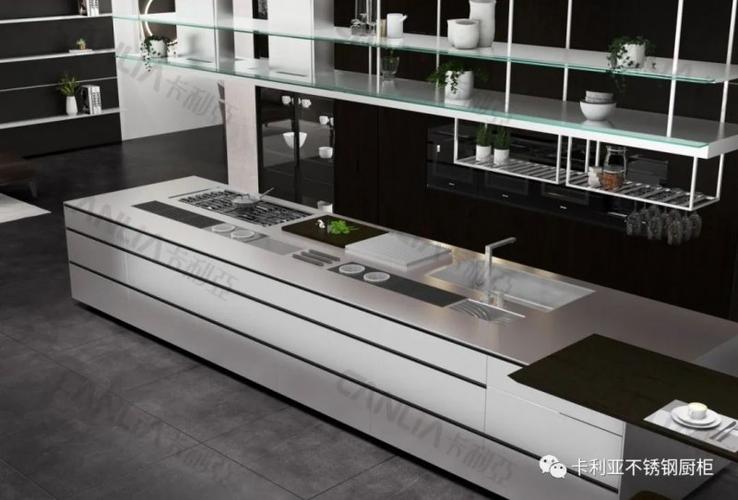 橱柜网 选橱柜 卡利亚不锈钢厨柜新品梅里雪山系列 赋予细腻感触 一侧