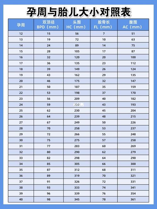 孕周与胎儿大小对照表!是偏大还是偏小!