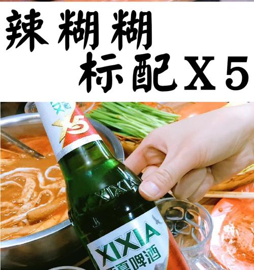 宁夏西夏啤酒x5夺命大红瓶12瓶装口服液叉五嘉士伯旗下京雪花熟黄