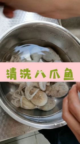 快速清洗八爪鱼_八爪鱼_家居家装_居家经验