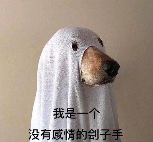 朋友圈必备搞笑沙雕语录,幽默滑稽,憨憨专用!