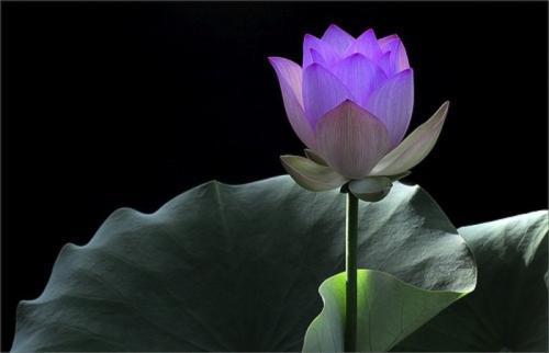 正能量禅意句子