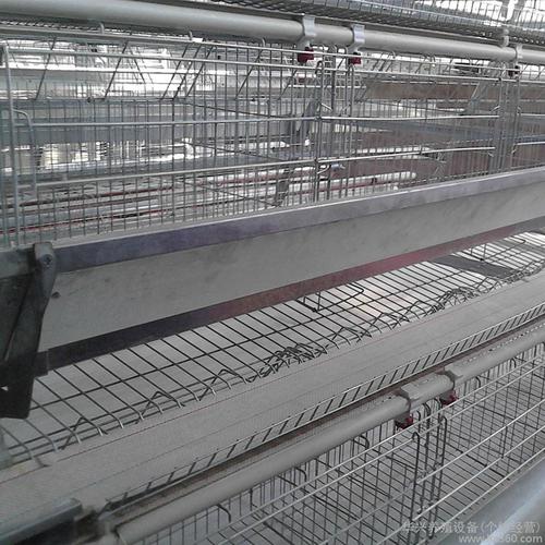 供应华兴华兴鸡笼养殖设备养殖设备.蛋鸡笼