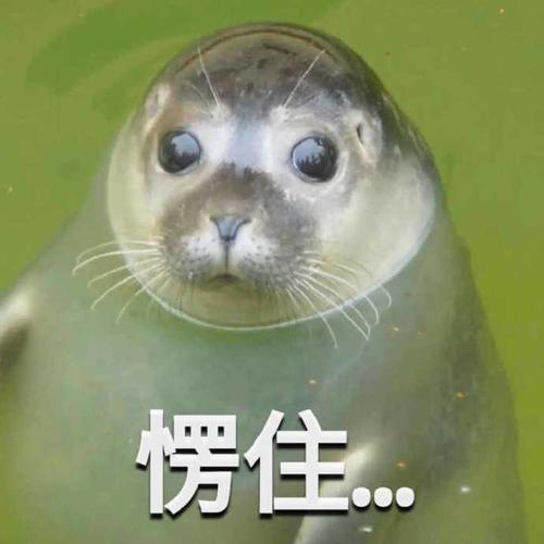 愣住套系微信表情包