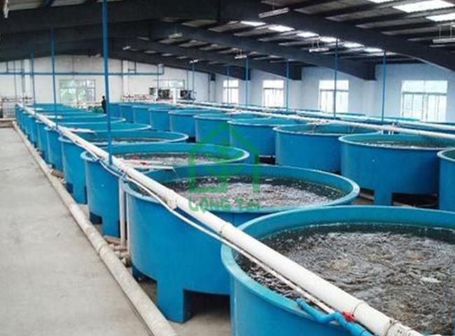 工厂化养鱼池哪家好-永泰工厂化养鱼池-福州龙泰大棚公司