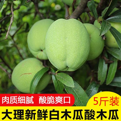 木瓜5斤包邮_云南大理野生新鲜宣木瓜白木瓜酸木瓜青木瓜可做菜泡酒菜