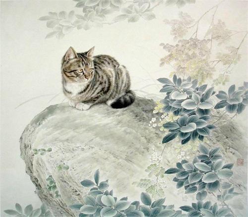 邢诚爱—画猫 - 堆糖,美图壁纸兴趣社区