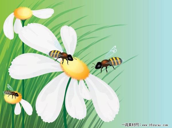 蜜蜂采蜜矢量花朵素材