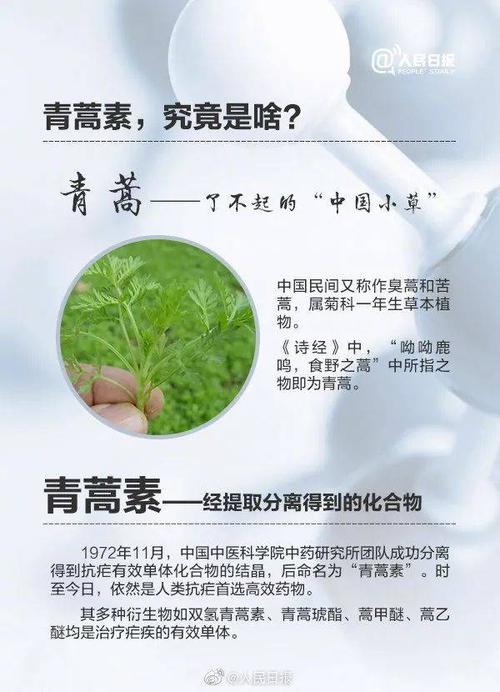 聚焦青蒿素 | 昆药集团就青蒿素科研进展接受昆视记者采访