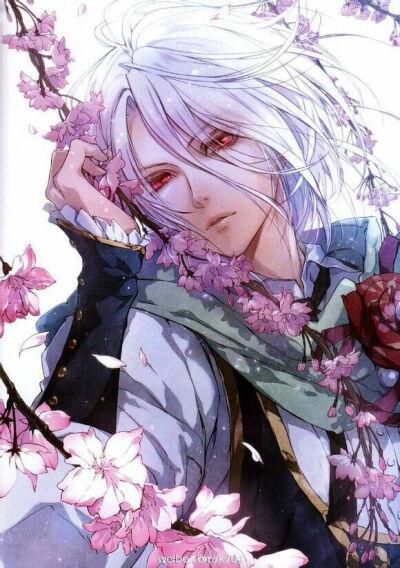 樱花 少年 动漫 美男 妖孽 美少年