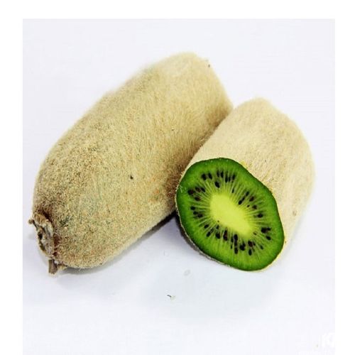 斤装5 浙江泰顺碑排特产华特猕猴桃白毛猕猴桃高山水果奇异果