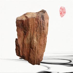 纯天然树化石原石 镇宅驱邪神石 观赏石硅化木摆件 孤品一物一拍